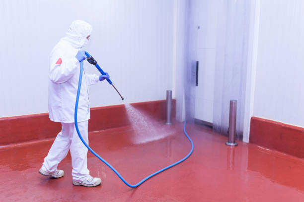 Best Gas Station Cleaning  in Glendale Heights, IL